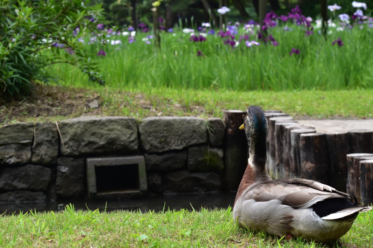 Koraku Garden Hotel Tokio Buitenkant foto